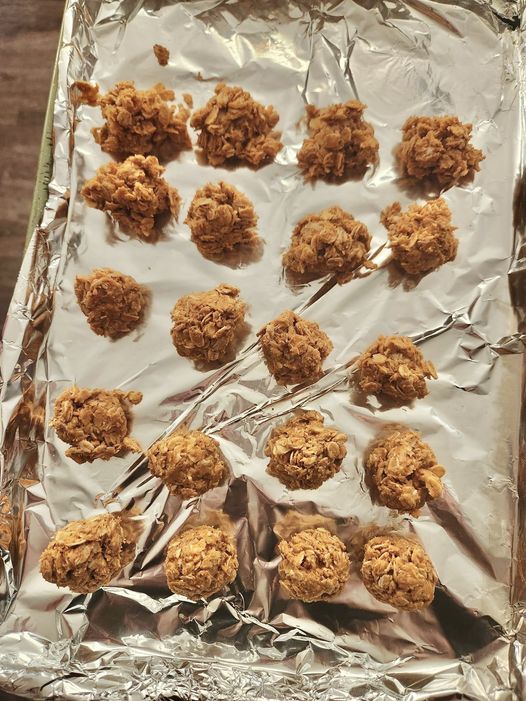 Low-Point Oatmeal Peanut Butter Balls Recipe - Useful Tips